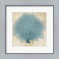 Framed 'Blue Coral IV' border=