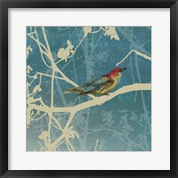 Blue Bird I Framed Print