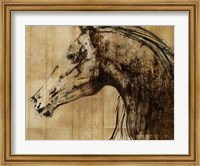 Framed Stallion I - Print on Demand