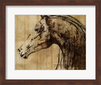 Framed Stallion I - Print on Demand