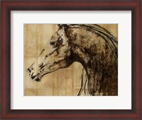 Framed Stallion I - Print on Demand