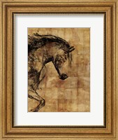 Framed Stallion I - Print on Demand