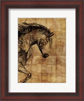 Framed Stallion I - Print on Demand