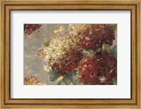 Framed Vintage Hydrangea