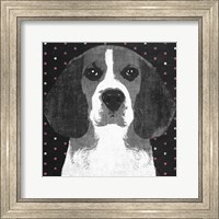 Framed Beagle