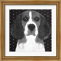 Framed 'Beagle' border=