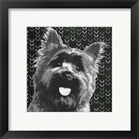 Framed 'Yorkie' border=