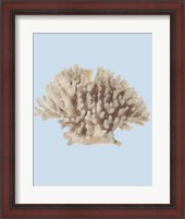 Framed Coral I
