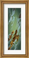 Framed Liquid Gold