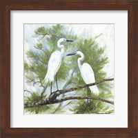 Framed Herons