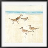 Framed Sandpipers Square I Blue