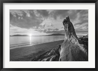 Framed Samish Bay Sunset I BW with border
