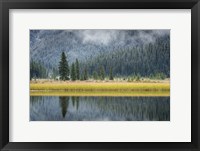Framed Waterfowl Lake II