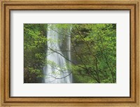 Framed Double Falls II color
