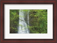 Framed Double Falls II color