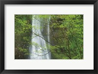 Framed Double Falls II color