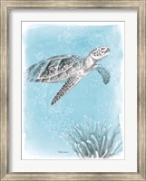 Framed Coastal Sea Life I