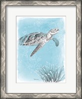 Framed Coastal Sea Life I