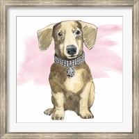 Framed Glamour Pups IX on Pink