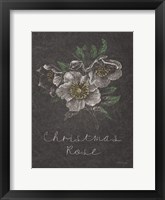 Framed Chalkboard Christmas Greenery III