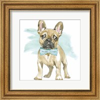 Framed Glamour Pups XI