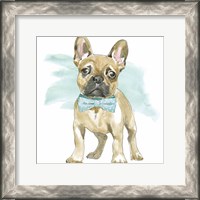 Framed Glamour Pups XI