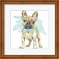 Framed 'Glamour Pups XI' border=