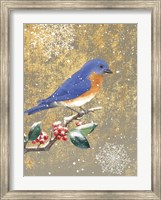 Framed Winter Birds Bluebird Color