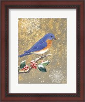 Framed Winter Birds Bluebird Color