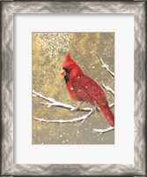 Framed Winter Birds Cardinal Color