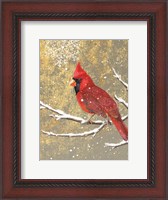 Framed Winter Birds Cardinal Color