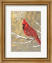 Framed Winter Birds Cardinal Color