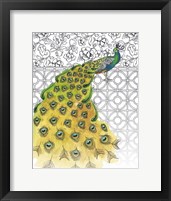 Garden Peacocks I Framed Print