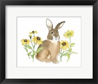 Wildflower Bunnies III Framed Print