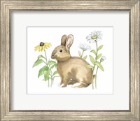 Framed Wildflower Bunnies II