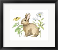 Wildflower Bunnies II Framed Print