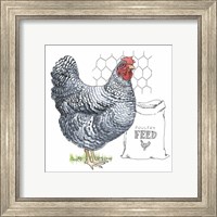 Framed 'Fun at the Coop III' border=