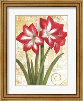 Framed Winter Birds Amaryllis I Gold and White