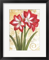 Winter Birds Amaryllis I Gold and White Framed Print