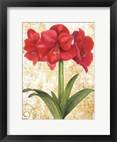 Winter Birds Amaryllis II Gold and White Framed Print