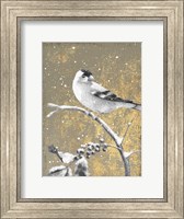 Framed Winter Birds Goldfinch Neutral