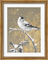 Framed Winter Birds Goldfinch Neutral
