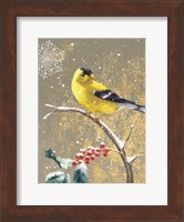 Framed Winter Birds Goldfinch Color