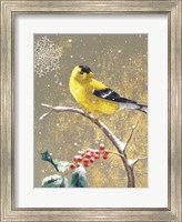 Framed Winter Birds Goldfinch Color