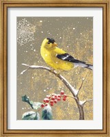 Framed Winter Birds Goldfinch Color