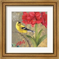 Framed Winter Birds Goldfinch Collage