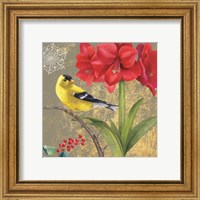 Framed 'Winter Birds Goldfinch Collage' border=