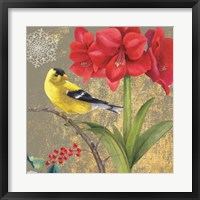 Framed Winter Birds Goldfinch Collage