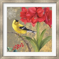 Framed Winter Birds Goldfinch Collage