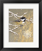 Framed Winter Birds Chickadee Color